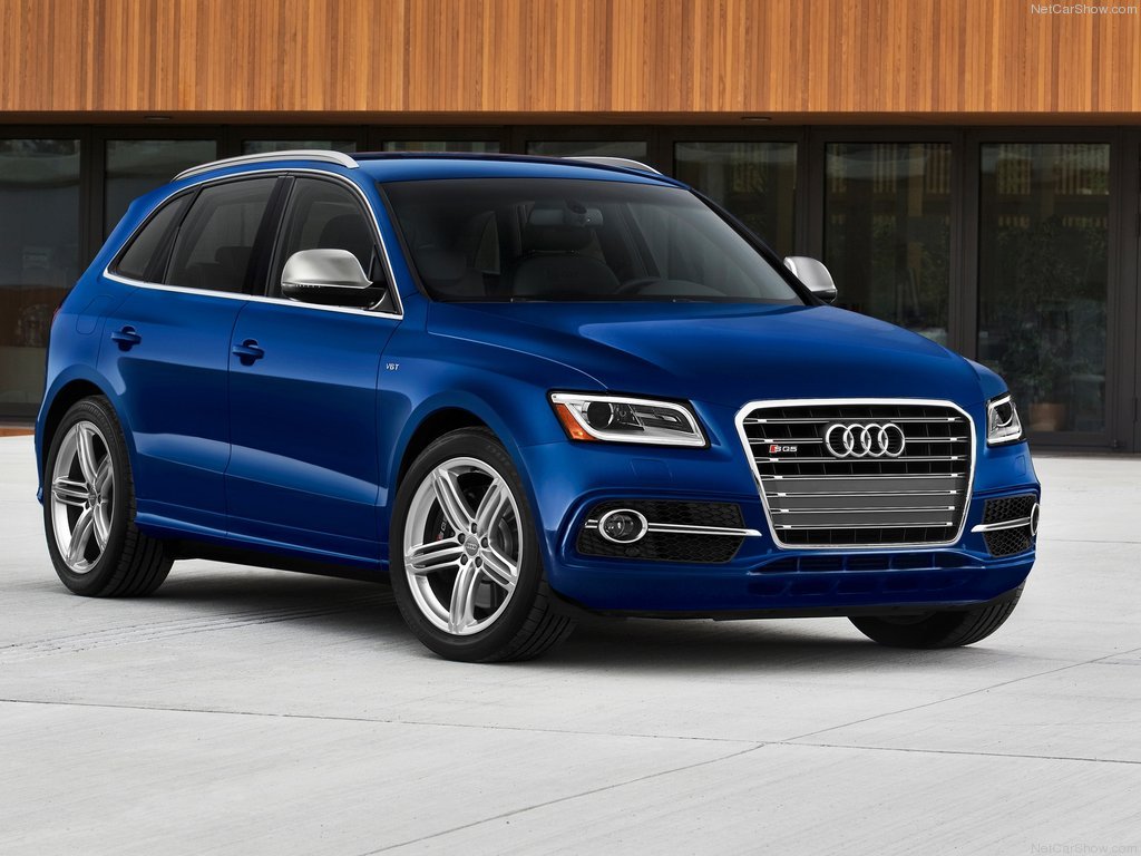 Picture of Audi SQ5 TFSI (8R)