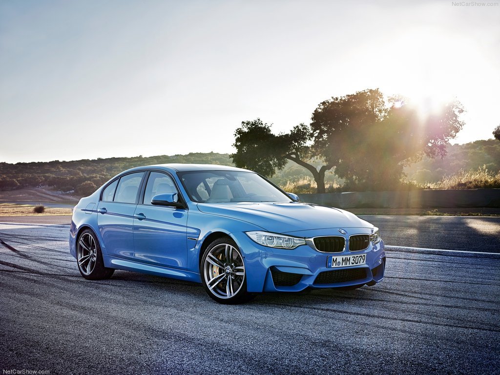 Picture of BMW M3 (F80)
