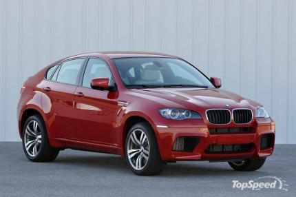 Picture of BMW X6 M