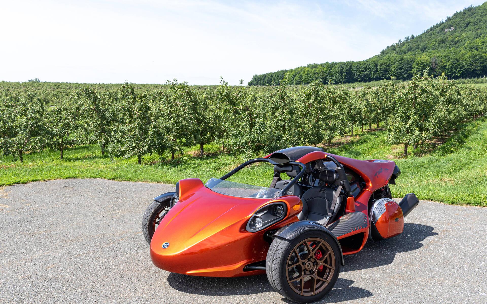 Campagna T-REX RR