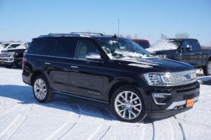 Picture of Ford Expedition Platinum (Mk IV)