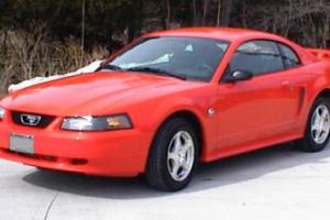 Picture of Ford Mustang GT