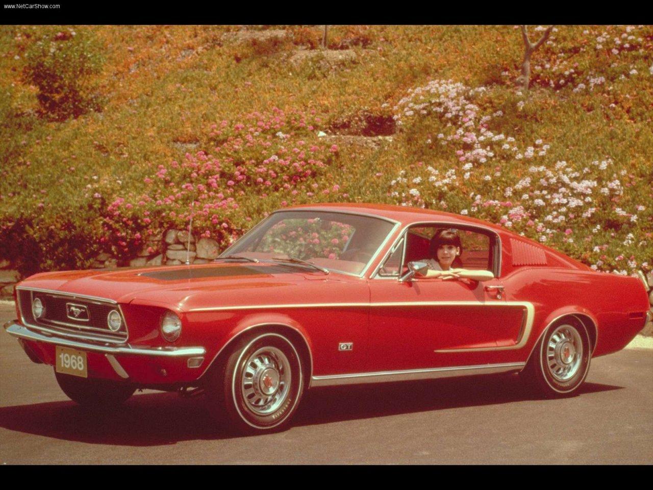 Image of Ford Mustang GT 427