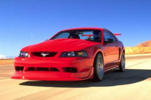 Picture of Ford Mustang SVT Cobra R (Mk IV)