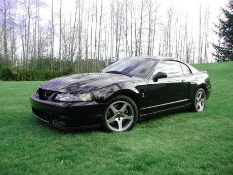 Picture of Ford Mustang SVT Cobra