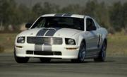 Image of Ford Shelby GT