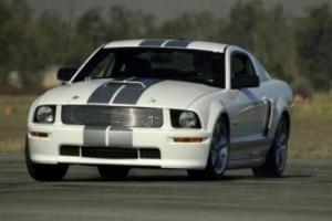 Picture of Ford Shelby GT