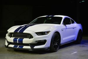 Picture of Ford Shelby Mustang GT350