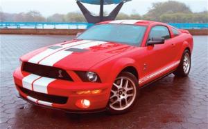 Photo of Shelby GT500