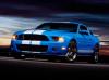 Photo of 2010 Shelby GT500