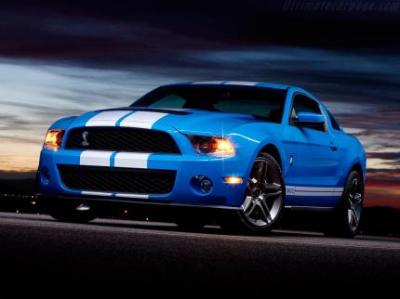 Image of Shelby GT500