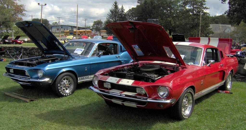Image of Shelby GT500 427