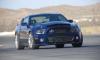 Picture of GT500 Super Snake