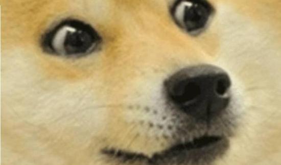 startled-doge.jpg?550x800m